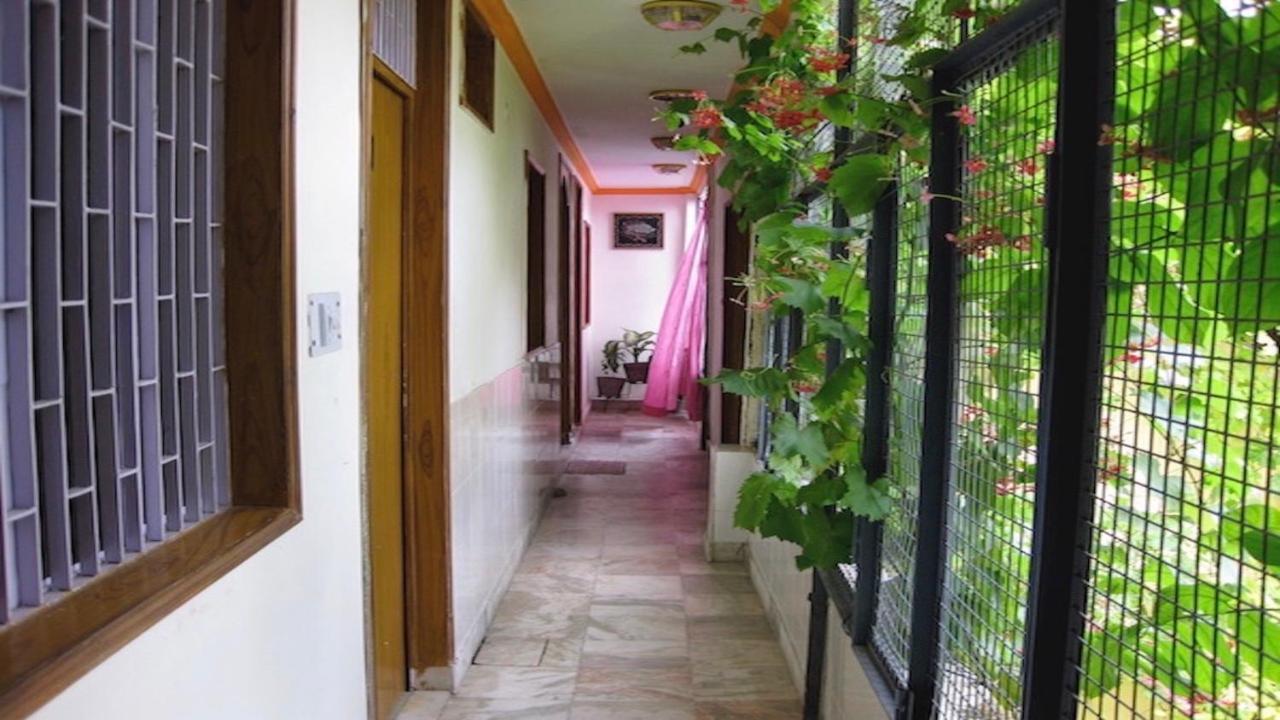 Guest house Saniya Palace 2*